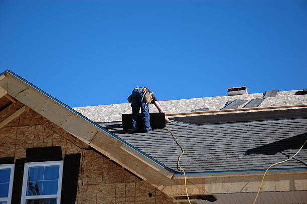 Roof Moss and Algae Removal in El Paso, TX